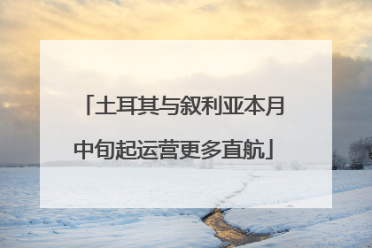 土耳其与叙利亚本月中旬起运营更多直航