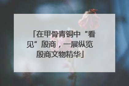在甲骨青铜中“看见”殷商，一展纵览殷商文物精华
