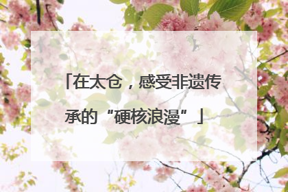 在太仓，感受非遗传承的“硬核浪漫”