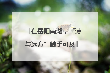在岳阳南湖，“诗与远方”触手可及