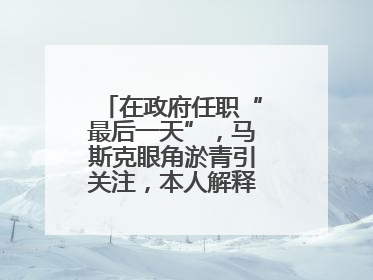 在政府任职“最后一天”，马斯克眼角淤青引关注，本人解释：儿子干的