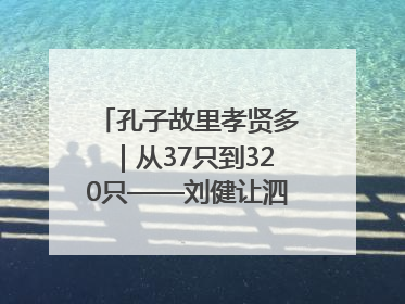 孔子故里孝贤多｜从37只到320只——刘健让泗水裘皮羊重生