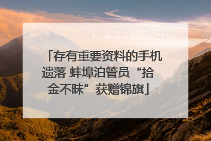 存有重要资料的手机遗落 蚌埠泊管员“拾金不昧”获赠锦旗