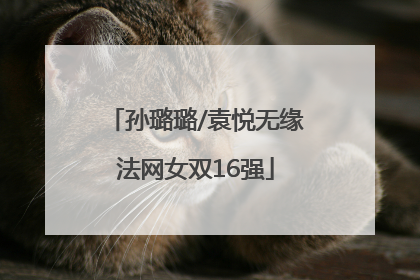 孙璐璐/袁悦无缘法网女双16强