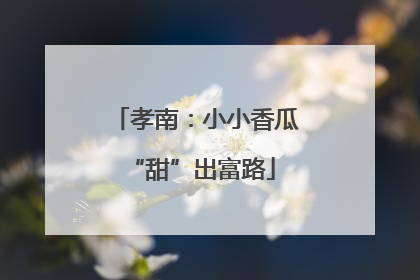孝南：小小香瓜 “甜”出富路