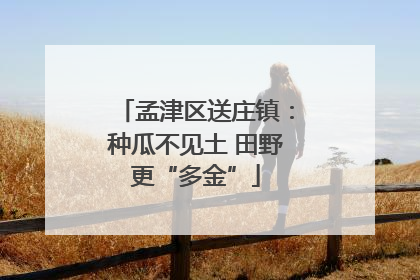 孟津区送庄镇：种瓜不见土 田野更“多金”