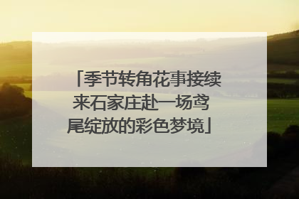 季节转角花事接续 来石家庄赴一场鸢尾绽放的彩色梦境