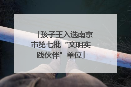 孩子王入选南京市第七批“文明实践伙伴”单位