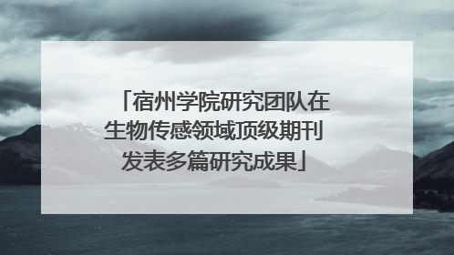 宿州学院研究团队在生物传感领域顶级期刊发表多篇研究成果
