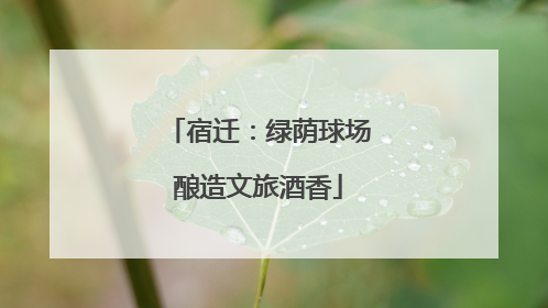 宿迁：绿荫球场酿造文旅酒香