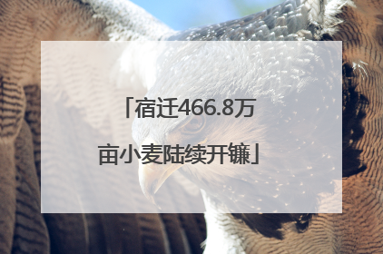 宿迁466.8万亩小麦陆续开镰