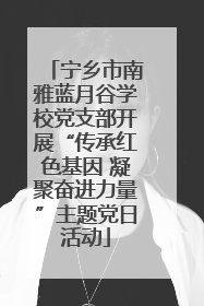 宁乡市南雅蓝月谷学校党支部开展“传承红色基因 凝聚奋进力量”主题党日活动