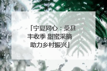 宁夏同心：桑葚丰收季 甜蜜采摘助力乡村振兴