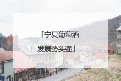 宁夏葡萄酒发展势头强