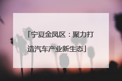 宁夏金凤区：聚力打造汽车产业新生态