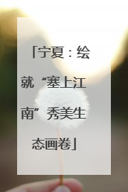 宁夏：绘就“塞上江南”秀美生态画卷