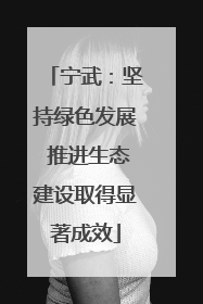 宁武：坚持绿色发展 推进生态建设取得显著成效