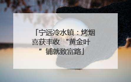 宁远冷水镇：烤烟喜获丰收 “黄金叶”铺就致富路