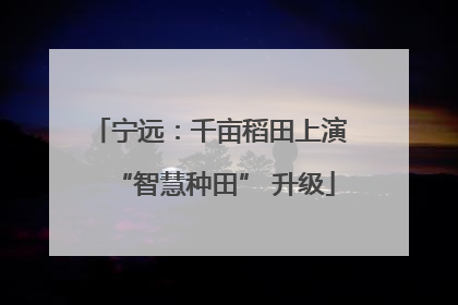 宁远：千亩稻田上演 “智慧种田” 升级
