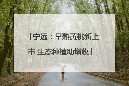 宁远：早熟黄桃新上市 生态种植助增收