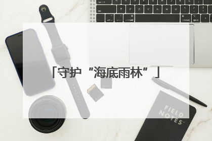 守护“海底雨林”
