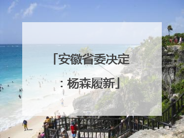 安徽省委决定：杨森履新