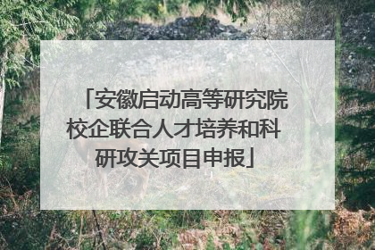 安徽启动高等研究院校企联合人才培养和科研攻关项目申报