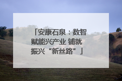 安康石泉：数智赋能兴产业 铺就振兴“新丝路”