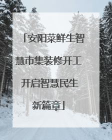 安阳菜鲜生智慧市集装修开工 开启智慧民生新篇章