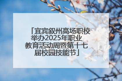 宜宾叙州高场职校举办2025年职业教育活动周暨第十七届校园技能节