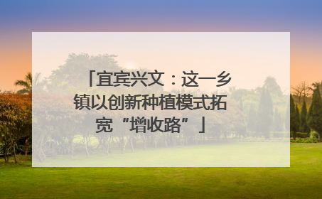 宜宾兴文：这一乡镇以创新种植模式拓宽“增收路”