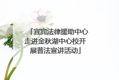 宜宾法律援助中心走进金秋湖中心校开展普法宣讲活动