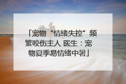 宠物“情绪失控”频繁咬伤主人 医生：宠物夏季易情绪中暑
