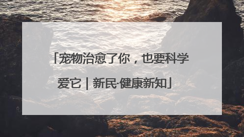 宠物治愈了你，也要科学爱它｜新民·健康新知