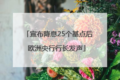 宣布降息25个基点后 欧洲央行行长发声