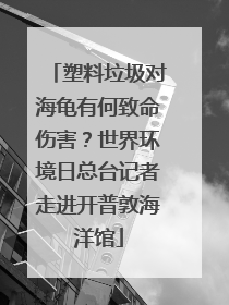 塑料垃圾对海龟有何致命伤害？世界环境日总台记者走进开普敦海洋馆