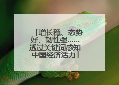 增长稳、态势好、韧性强……透过关键词感知中国经济活力