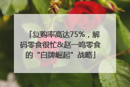 复购率高达75%，解码零食很忙&赵一鸣零食的“白牌崛起”战略
