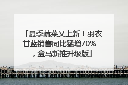 夏季蔬菜又上新！羽衣甘蓝销售同比猛增70%，盒马新推升级版
