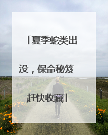 夏季蛇类出没，保命秘笈赶快收藏