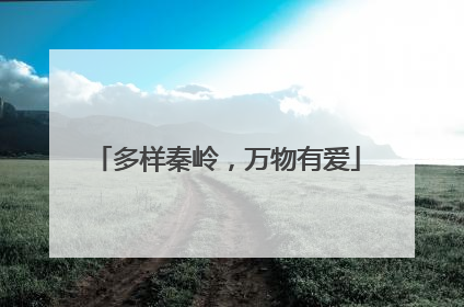多样秦岭，万物有爱
