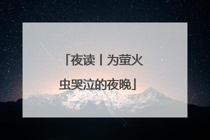夜读丨为萤火虫哭泣的夜晚