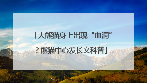 大熊猫身上出现“血洞”？熊猫中心发长文科普