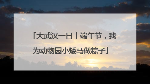 大武汉一日丨端午节，我为动物园小矮马做粽子
