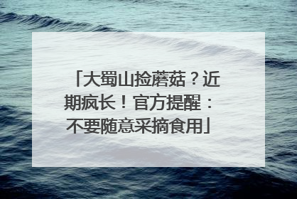 大蜀山捡蘑菇？近期疯长！官方提醒：不要随意采摘食用