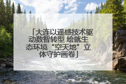 大连以遥感技术驱动数智转型 绘就生态环境“空天地”立体守护画卷