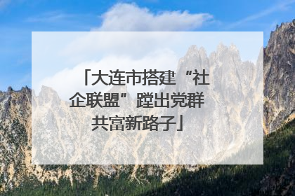 大连市搭建“社企联盟”蹚出党群共富新路子