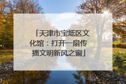 天津市宝坻区文化馆：打开一扇传播文明新风之窗