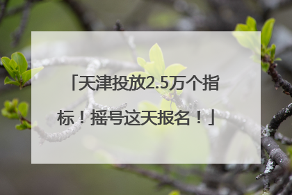 天津投放2.5万个指标！摇号这天报名！