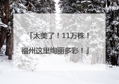 太美了！11万株！福州这里绚丽多彩！